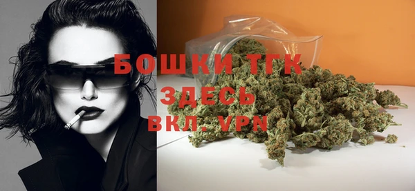 винт Осинники