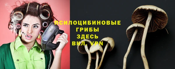 индика Остров
