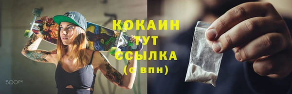 индика Остров