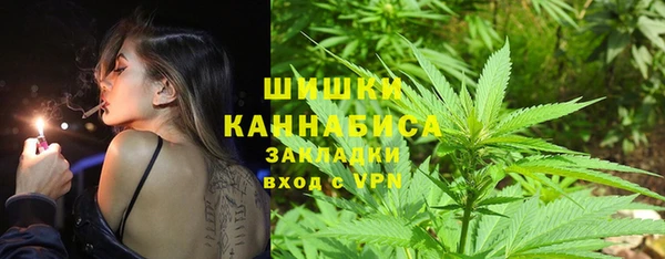 ГАЛЛЮЦИНОГЕННЫЕ ГРИБЫ Осташков