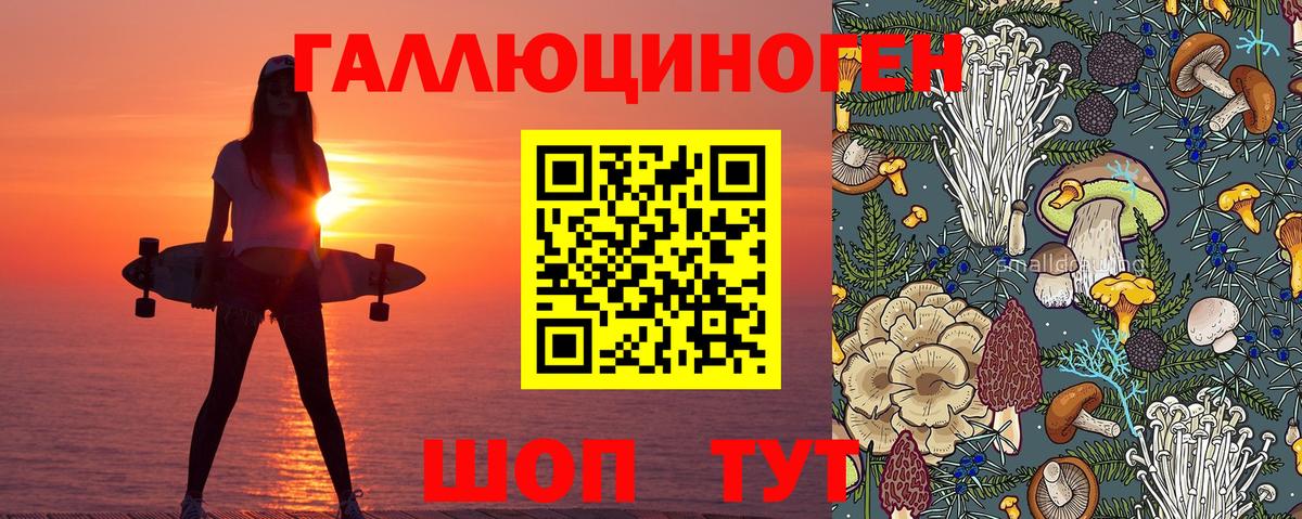 Псилоцибиновые грибы прущие грибы Абинск